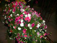 Split, Blumenausstellung im Palast des Diokletian