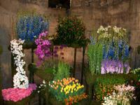 Split, Blumenausstellung im Palast des Diokletian