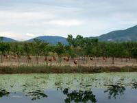 Bootsfahrt auf der Neretva