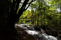 178 NP Plitvicer Seen