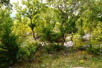 454 Magia bei Zadvarje