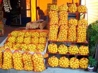 Verkaufsstände im Neretvatal