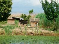 Bootsfahrt auf der Neretva