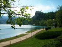 Bled