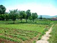 Bei Imotski