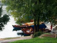 Bled