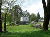 Cetinje