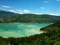 Der Grüne See