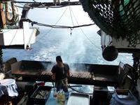Fischpicknick