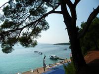 Goldenes Horn-Brac