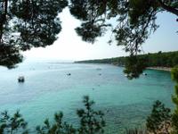 Goldenes Horn-Brac