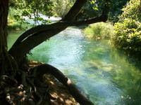 Im Krka Nationalpark 