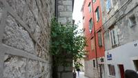 Kapern in der Mauer