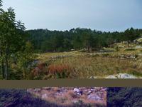 Karstlandschaft