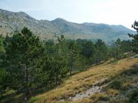 Karstlandschaft
