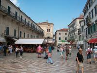 Kotor