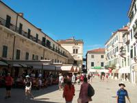 Kotor