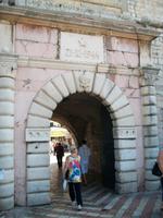 Kotor