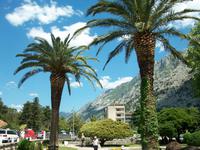 Kotor