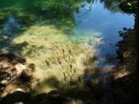 Krka Nationalpark