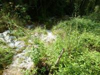 Krka Wasserfälle