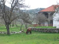 Montenegro: Njegusi