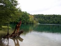 Nationalpark 