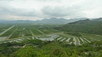 Neretva Delta
