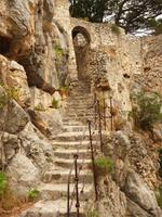 Omis