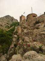 Omis