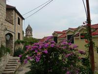 Omis
