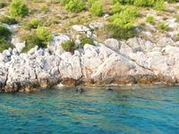Panorama Brac