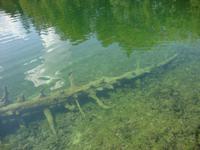 Plitwitzer Seen