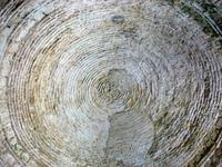 Split