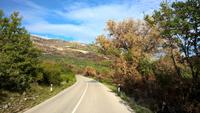 Spuren der Waldbrände auf der Halbinsel Pelješac 