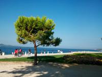 Zadar