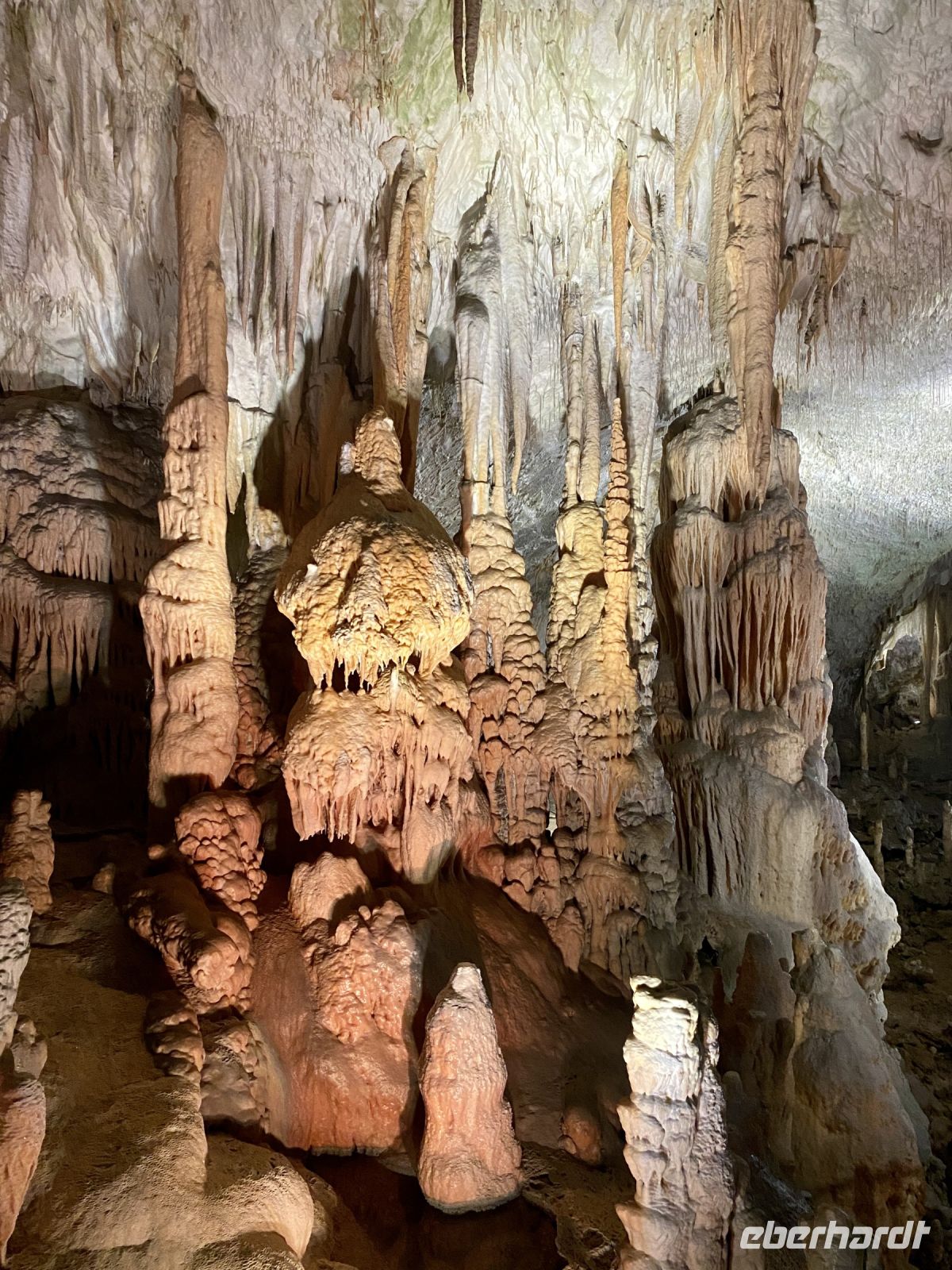 Tag 2 - Adelsberger Grotte