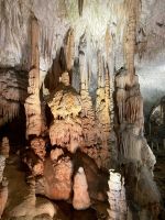 Tag 2 - Adelsberger Grotte