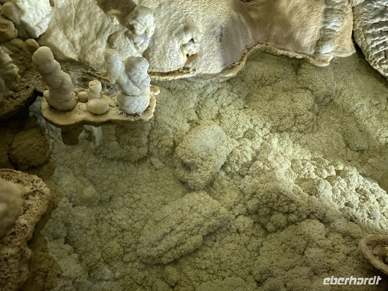 Tag 2 - Auf der Suche nach dem Grottenolm