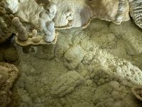 Tag 2 - Auf der Suche nach dem Grottenolm