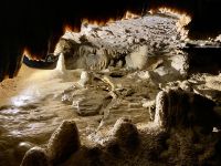 Tag 2 - Adelsberger Grotte