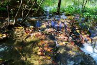 0073 NP Plitvice