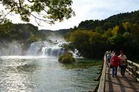 0263 NP Krka