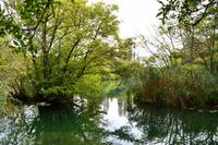 0269 NP Krka