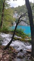 049 NP Plitvicer Seen