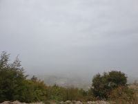 0501 durch Bora...