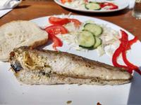 066b Ausflug zu den Elaphiten, frischer Fisch zum Mittag