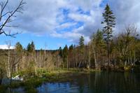 077 NP Plitvicer Seen