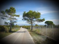 0801 Weiterreise...