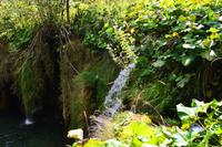 027 Nationalpark Plitvicer Seen